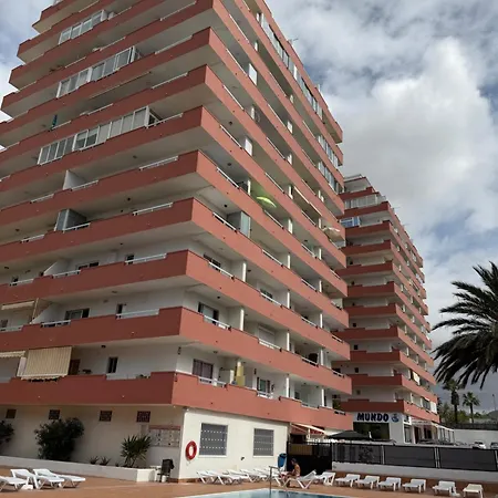 Tajinaste Sara Arona (Tenerife)