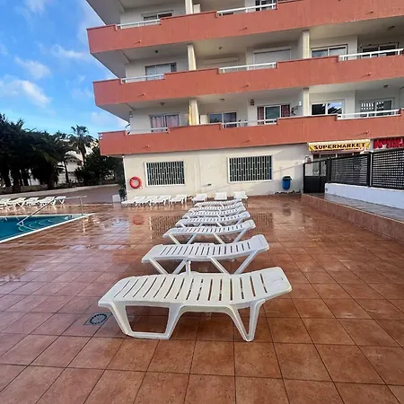 Tajinaste Sara Arona (Tenerife)
